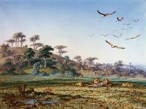 Bringing Ivory to the Wagons in South Africa-Thomas Baines-Giclee Print