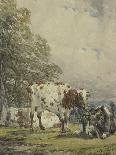 A Study of Cattle, 19Th Century-Thomas Baker-Laminated Giclee Print