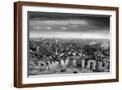 Brown Frame