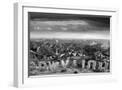 White Frame