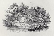 A Bend in the River from 'History of British Birds, Volume 2: Water Birds', 1804 (Woodcut)-Thomas Bewick-Giclee Print