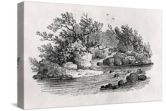 Stretched Canvas Print, , large