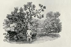 A Bend in the River from 'History of British Birds, Volume 2: Water Birds', 1804 (Woodcut)-Thomas Bewick-Giclee Print