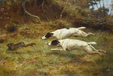 Terriers on a Hare-Thomas Blinks-Giclee Print
