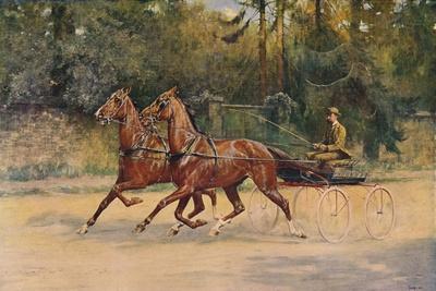 Trotting pair of Walter Winans, 1900 (c1910)