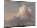 Wood Mount