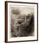 Brown Frame