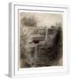 White Frame