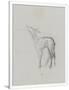 Gramercy White