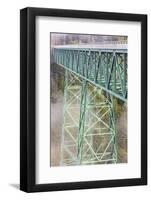 Thomas Creek Bridge, Oregon, USA. The Thomas Creek Bridge on the Oregon coast.-Emily Wilson-Framed Photographic Print