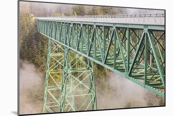 Thomas Creek Bridge, Oregon, USA. The Thomas Creek Bridge on the Oregon coast.-Emily Wilson-Mounted Photographic Print