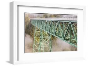 Thomas Creek Bridge, Oregon, USA. The Thomas Creek Bridge on the Oregon coast.-Emily Wilson-Framed Photographic Print