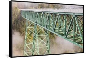 Thomas Creek Bridge, Oregon, USA. The Thomas Creek Bridge on the Oregon coast.-Emily Wilson-Framed Stretched Canvas