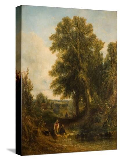 Stretched Canvas Print, , large