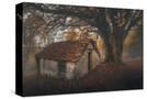 Stretched Canvas