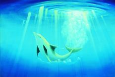 Shaka Dolphin-Thomas Deir-Framed Stretched Canvas