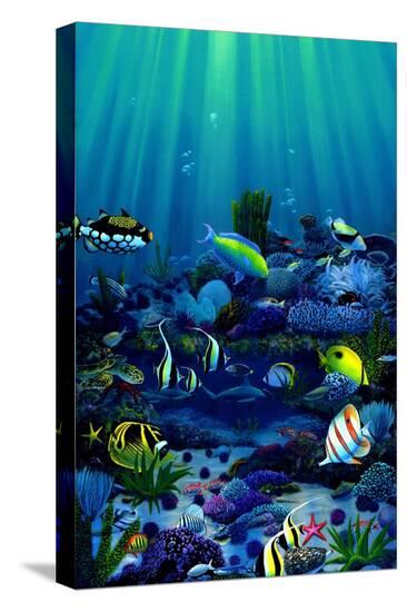 Stretched Canvas Print, , large