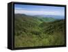 Thomas Divide, Great Smoky Mountains National Park, North Carolina, USA-Adam Jones-Framed Stretched Canvas