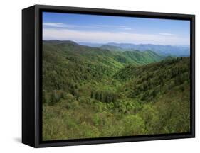 Thomas Divide, Great Smoky Mountains National Park, North Carolina, USA-Adam Jones-Framed Stretched Canvas