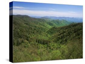 Thomas Divide, Great Smoky Mountains National Park, North Carolina, USA-Adam Jones-Stretched Canvas