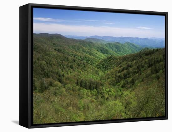 Thomas Divide, Great Smoky Mountains National Park, North Carolina, USA-Adam Jones-Framed Stretched Canvas