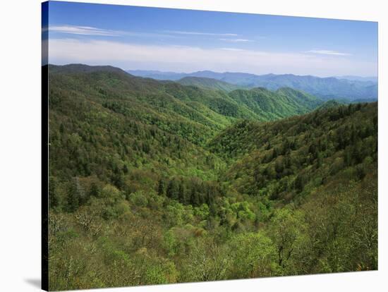 Thomas Divide, Great Smoky Mountains National Park, North Carolina, USA-Adam Jones-Stretched Canvas