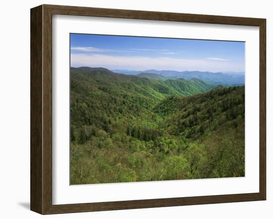 Thomas Divide, Great Smoky Mountains National Park, North Carolina, USA-Adam Jones-Framed Premium Photographic Print