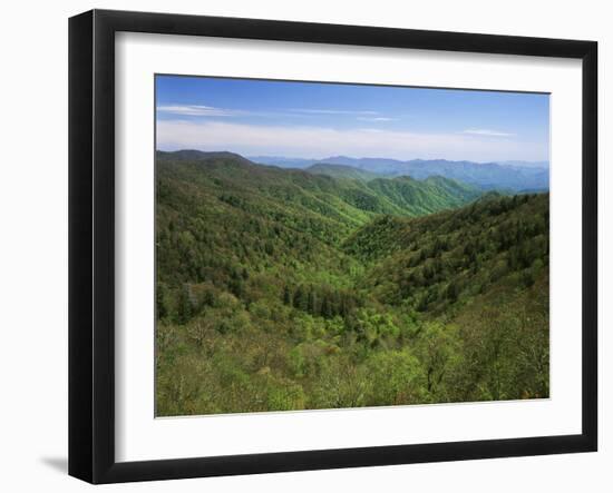 Thomas Divide, Great Smoky Mountains National Park, North Carolina, USA-Adam Jones-Framed Premium Photographic Print