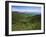 Thomas Divide, Great Smoky Mountains National Park, North Carolina, USA-Adam Jones-Framed Premium Photographic Print