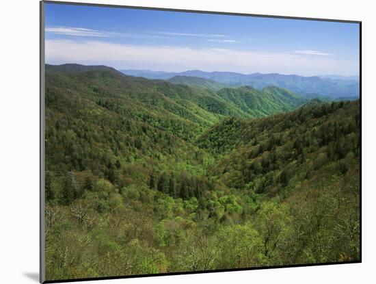 Thomas Divide, Great Smoky Mountains National Park, North Carolina, USA-Adam Jones-Mounted Premium Photographic Print