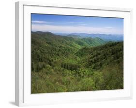 Thomas Divide, Great Smoky Mountains National Park, North Carolina, USA-Adam Jones-Framed Photographic Print