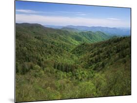 Thomas Divide, Great Smoky Mountains National Park, North Carolina, USA-Adam Jones-Mounted Photographic Print