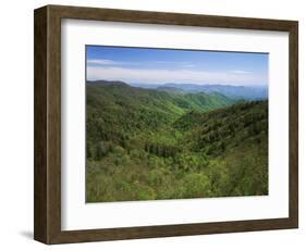 Thomas Divide, Great Smoky Mountains National Park, North Carolina, USA-Adam Jones-Framed Photographic Print