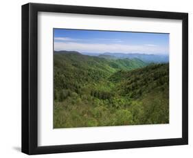 Thomas Divide, Great Smoky Mountains National Park, North Carolina, USA-Adam Jones-Framed Photographic Print