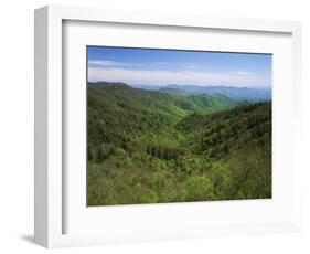 Thomas Divide, Great Smoky Mountains National Park, North Carolina, USA-Adam Jones-Framed Photographic Print