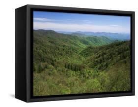 Thomas Divide, Great Smoky Mountains National Park, North Carolina, USA-Adam Jones-Framed Stretched Canvas