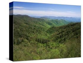 Thomas Divide, Great Smoky Mountains National Park, North Carolina, USA-Adam Jones-Stretched Canvas