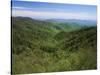 Thomas Divide, Great Smoky Mountains National Park, North Carolina, USA-Adam Jones-Stretched Canvas