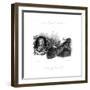 Thomas Duke Newcastle-null-Framed Giclee Print