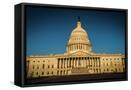 Framed Canvas