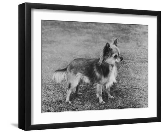 Photographic Print, , large