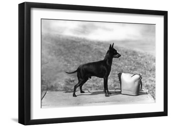 Premium Photographic Print, , large