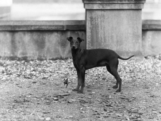 Premium Photographic Print, , large