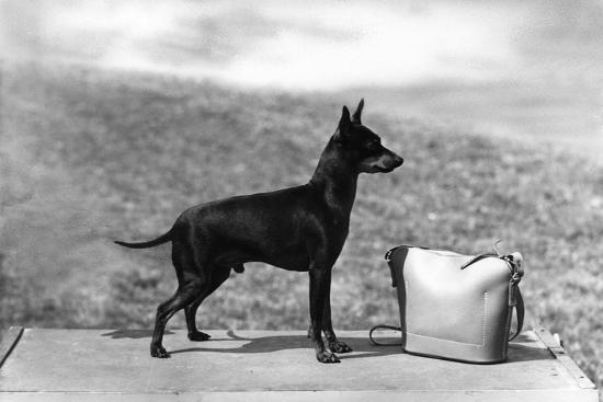 Photographic Print, , large