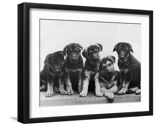 Premium Photographic Print, , large