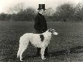 Laminate