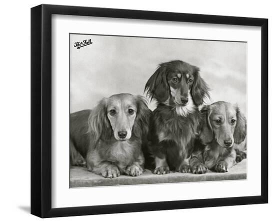 Photographic Print, , large