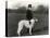 Thomas Fall with Borzoi-Thomas Fall-Stretched Canvas