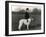 Thomas Fall with Borzoi-Thomas Fall-Framed Photographic Print