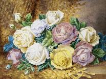 A Still Life of Roses-Thomas Frederick Collier-Stretched Canvas